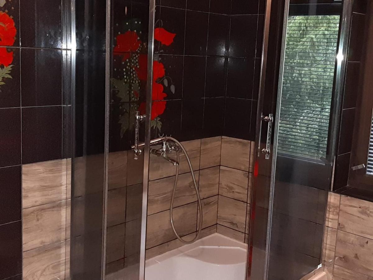 Forest Villa Susiec Εξωτερικό φωτογραφία